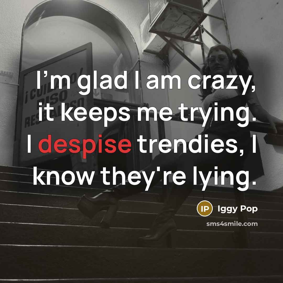 “I'm glad I am crazy, it keeps me trying. I…” quote by Iggy Pop