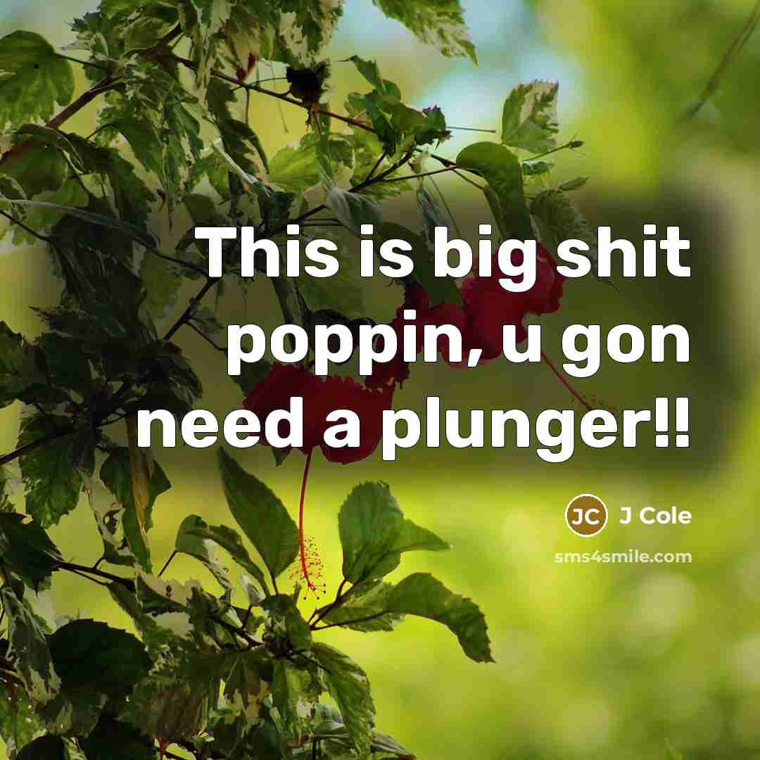 “This is big shit poppin, u gon need a plunger!!…” quote by J Cole