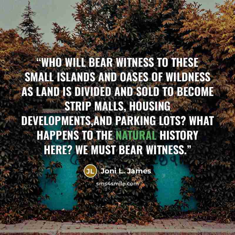 “Who will bear witness to these small islands and oases of wildness as land is divided and sold to become strip malls, housing developments,and parking lots? What happens to the natural history here? We must bear witness.” quote by Joni L. James