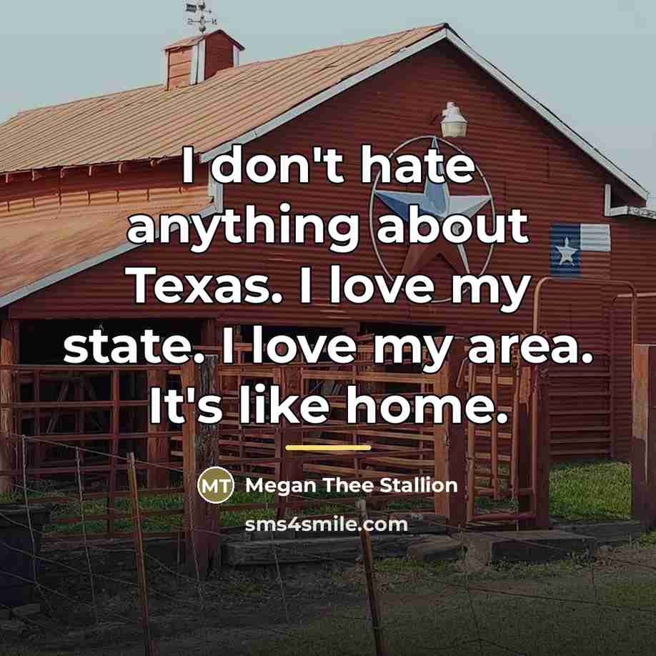 “I don't hate anything about Texas. I love my state.…” quote by Megan Thee Stallion