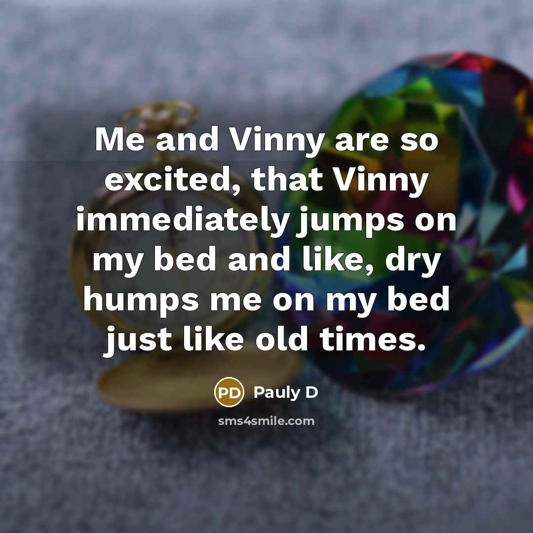 “Me and Vinny are so excited, that Vinny immediately jumps on my bed and like, dry humps me on my bed just like old times.” quote by Pauly D