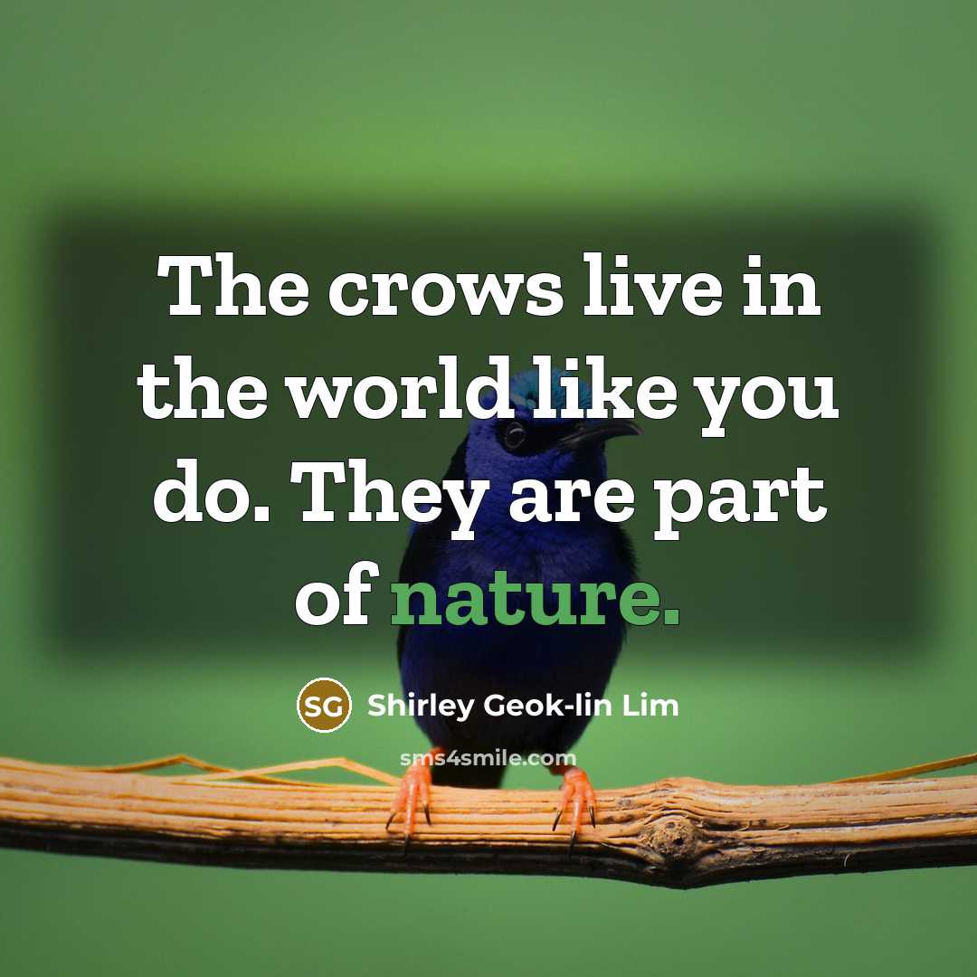 “The crows live in the world like you do. They are part of nature.” quote by Shirley Geok-lin Lim