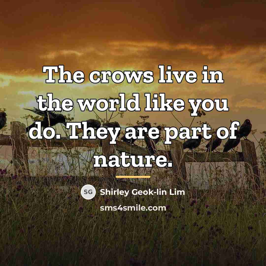 “The crows live in the world like you do. They…” quote by Shirley Geok-lin Lim