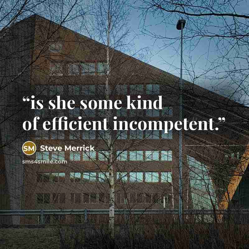 “is she some kind of efficient incompetent.” quote by Steve Merrick