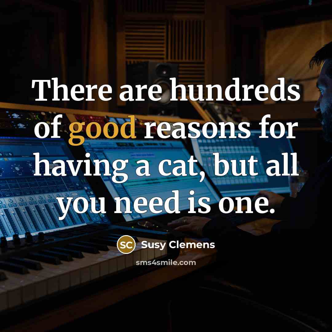 “There are hundreds of good reasons for having a cat,…” quote by Susy Clemens