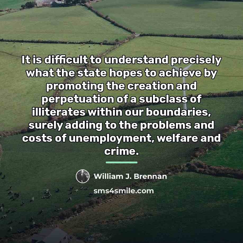 “It is difficult to understand precisely what the state hopes…” quote by William J. Brennan