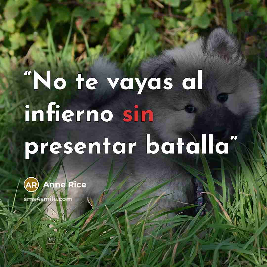 “No te vayas al infierno sin presentar batalla” quote by Anne Rice