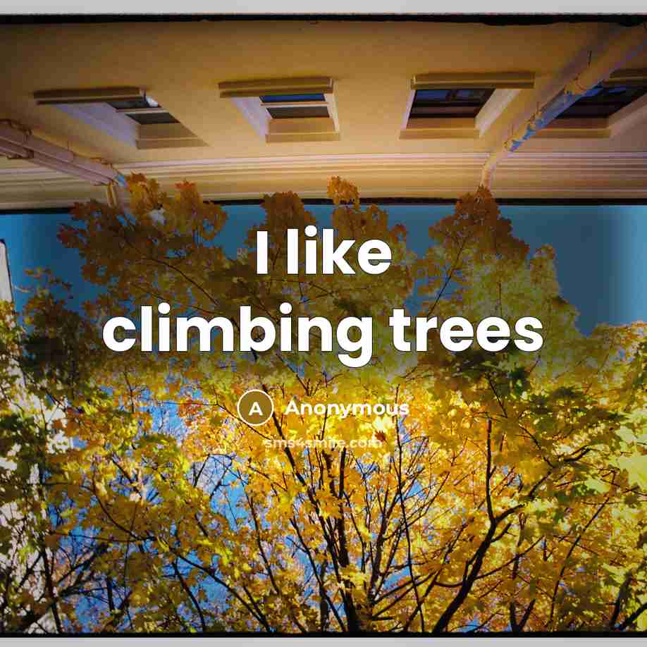 “I like climbing trees” quote by Anonymous