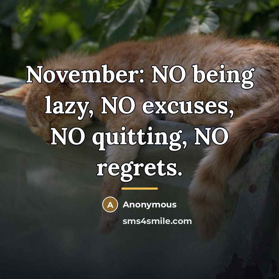 “November: NO being lazy, NO excuses, NO quitting, NO regrets.…” quote by Anonymous