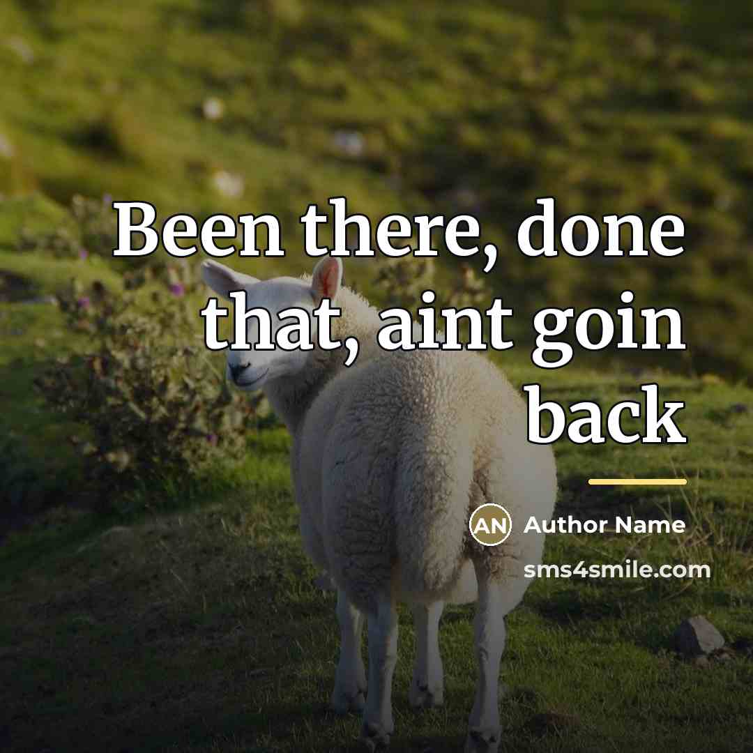 “Been there, done that, aint goin back…” quote by Author Name