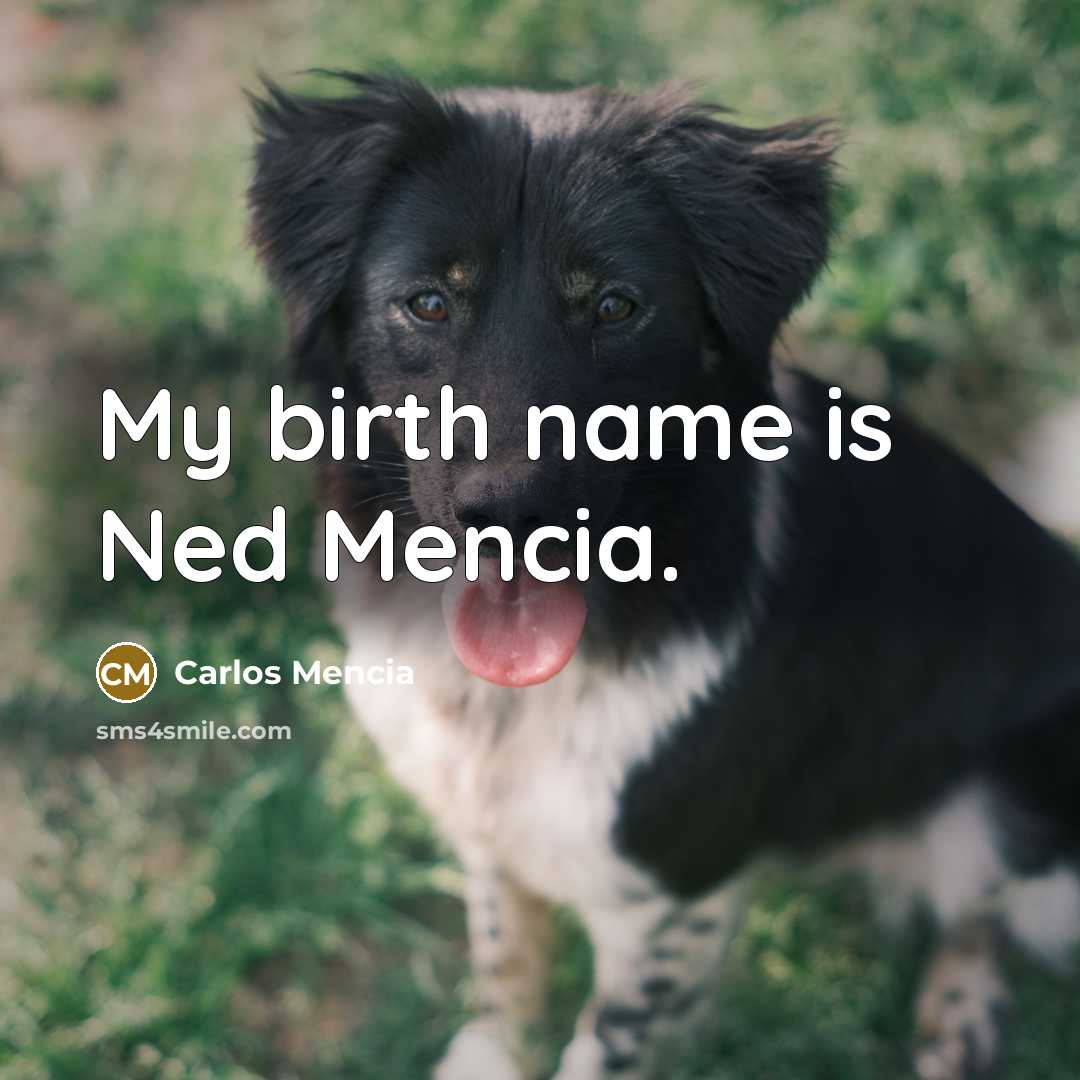 “My birth name is Ned Mencia.…” quote by Carlos Mencia