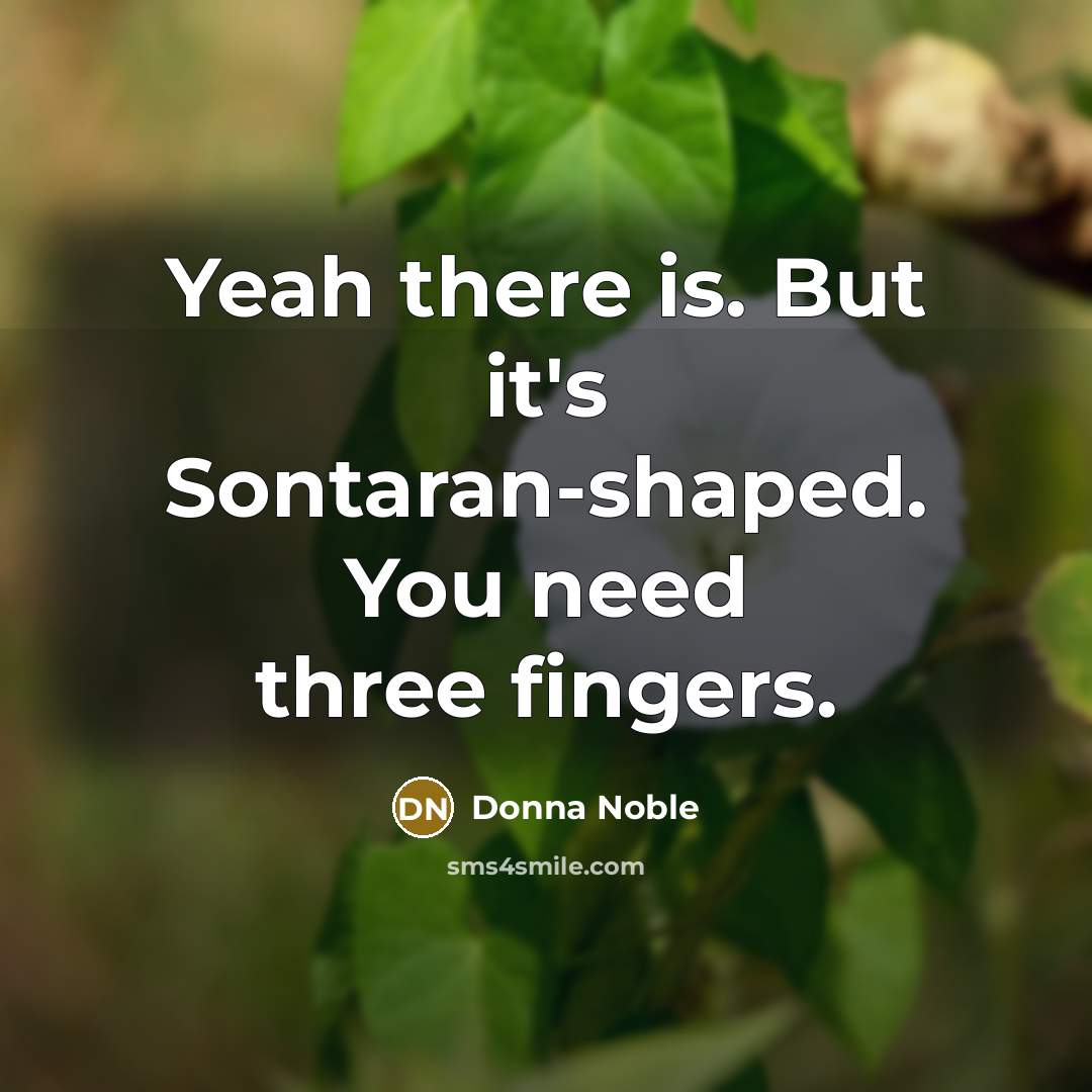 “Yeah there is. But it's Sontaran-shaped. You need three fingers.…” quote by Donna Noble