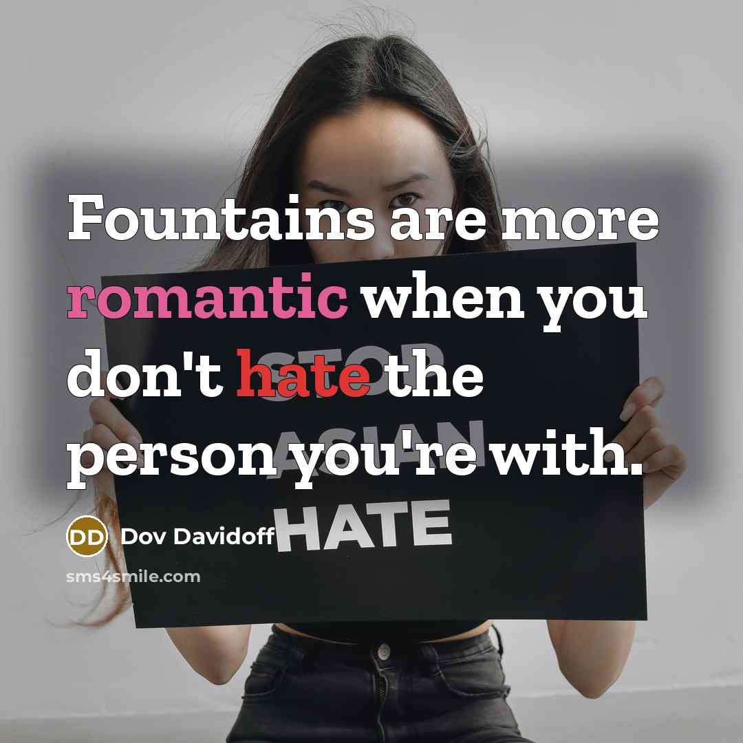 “Fountains are more romantic when you don't hate the person…” quote by Dov Davidoff