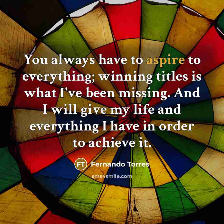 “You always have to aspire to everything; winning titles is…” quote by Fernando Torres
