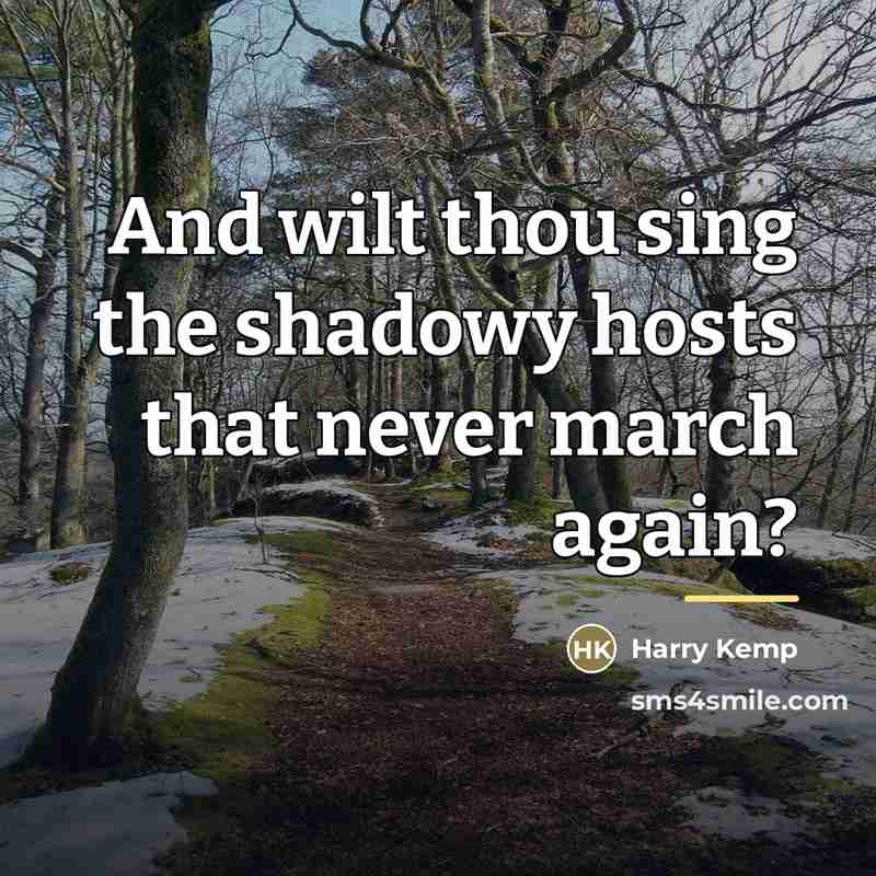 “And wilt thou sing the shadowy hosts that never march…” quote by Harry Kemp
