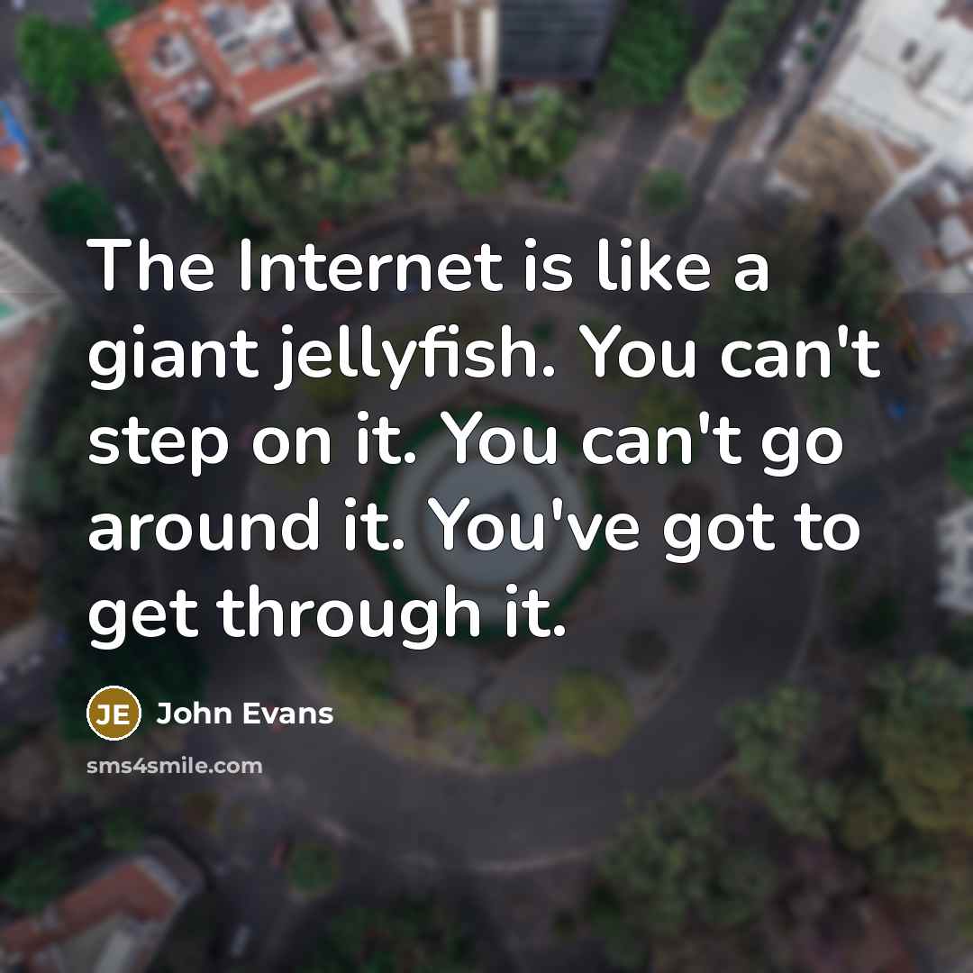 “The Internet is like a giant jellyfish. You can't step…” quote by John Evans