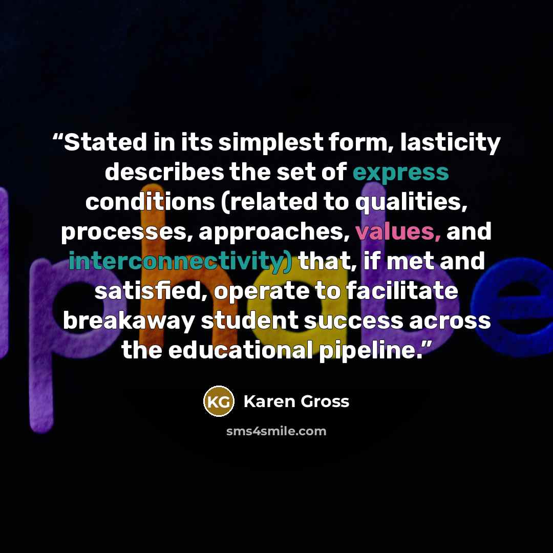 “Stated in its simplest form, lasticity describes the set of express conditions (related to qualities, processes, approaches, values, and interconnectivity) that, if met and satisfied, operate to facilitate breakaway student success across the educational pipeline.” quote by Karen Gross