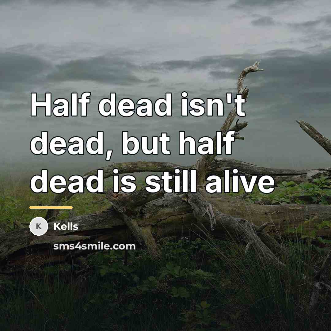 “Half dead isn't dead, but half dead is still alive…” quote by Kells