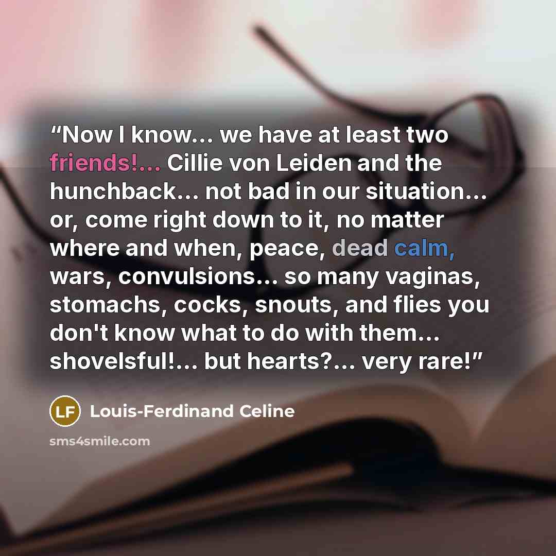 “Now I know... we have at least two friends!... Cillie von Leiden and the hunchback... not bad in our situation... or, come right down to it, no matter where and when, peace, dead calm, wars, convulsions... so many vaginas, stomachs, cocks, snouts, and flies you don't know what to do with them…” quote by Louis-Ferdinand Céline