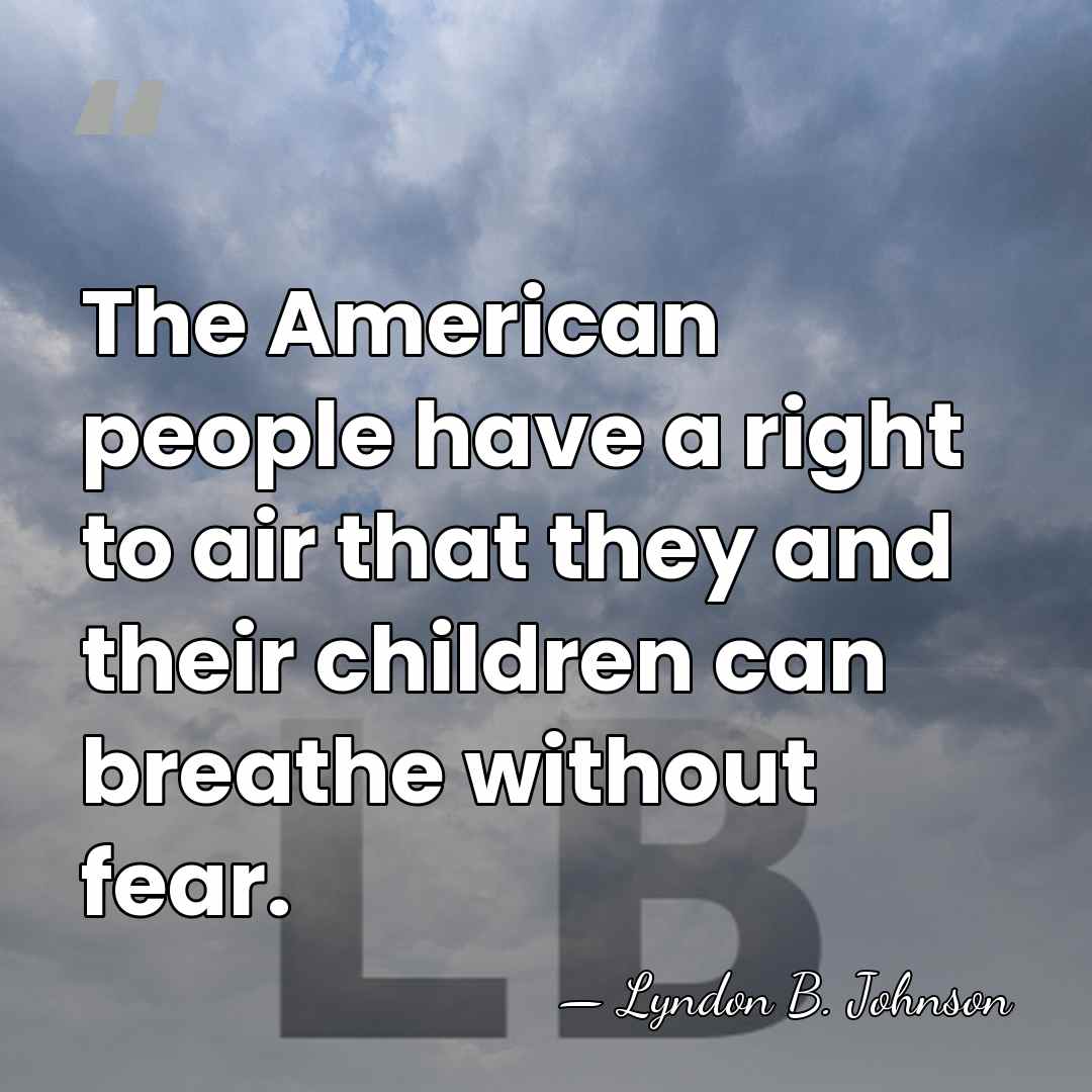 The American people have a right to air that they and their&hellip; - Lyndon B. Johnson