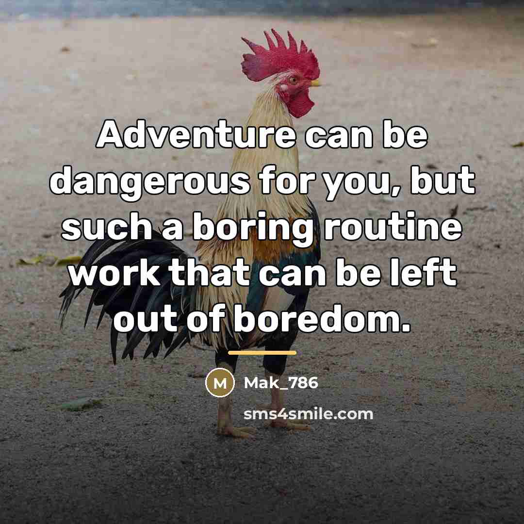 “Adventure can be dangerous for you, but such a boring…” quote by Mak_786
