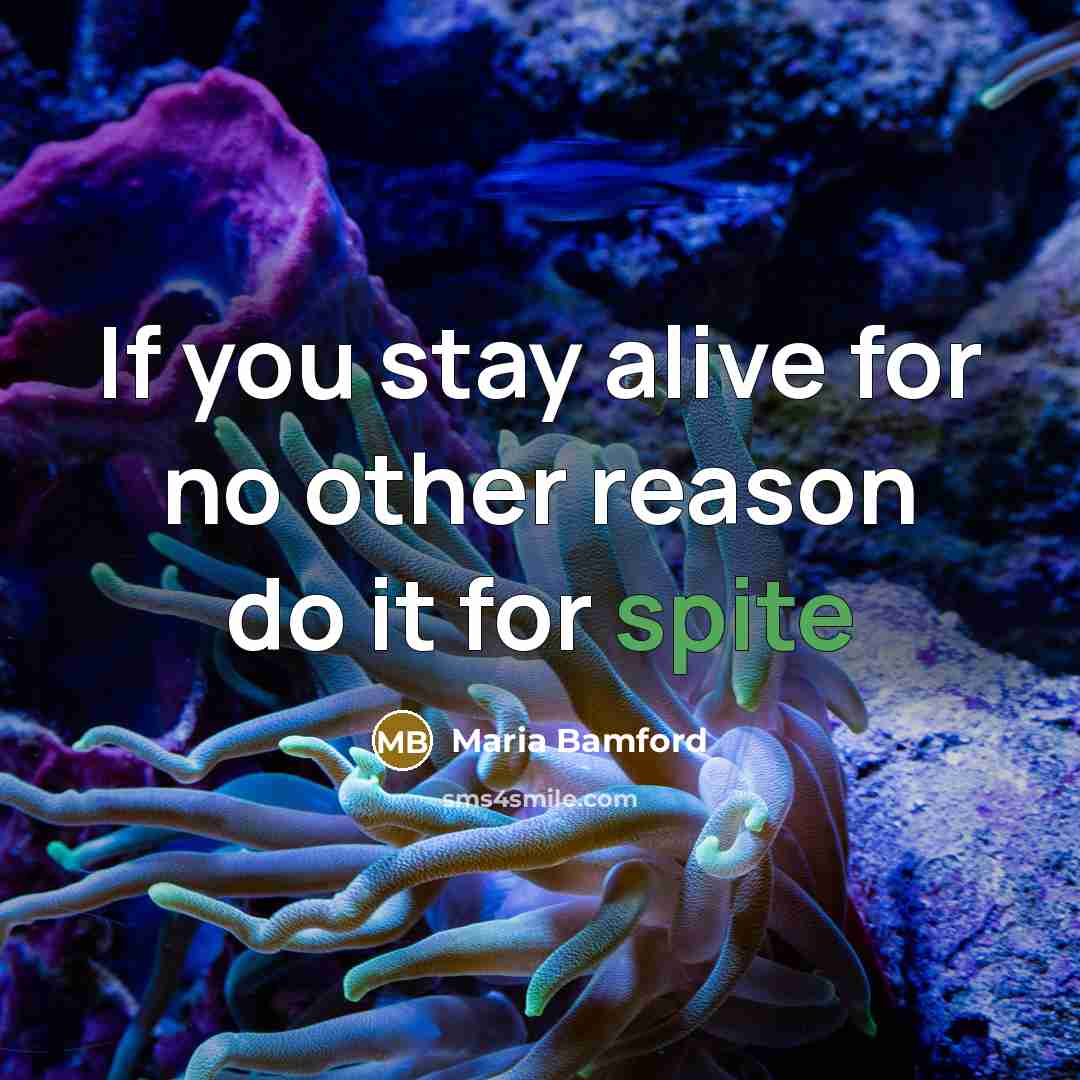 “If you stay alive for no other reason do it…” quote by Maria Bamford
