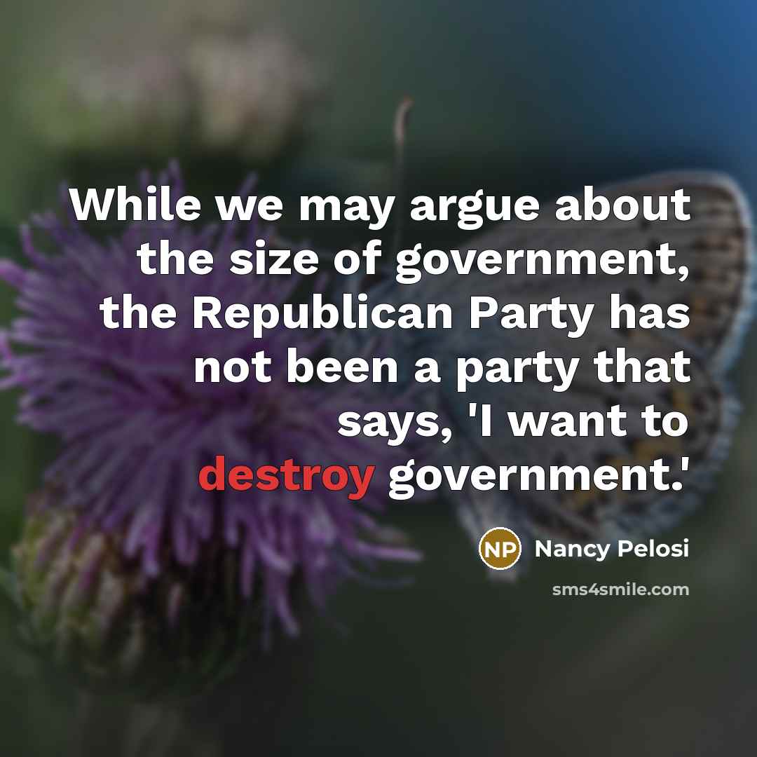 “While we may argue about the size of government, the…” quote by Nancy Pelosi