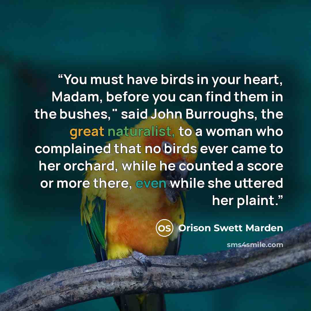 “You must have birds in your heart, Madam, before you can find them in the bushes," said John Burroughs, the great naturalist, to a woman who complained that no birds ever came to her orchard, while he counted a score or more there, even while she uttered her plaint.” quote by Orison Swett Marden