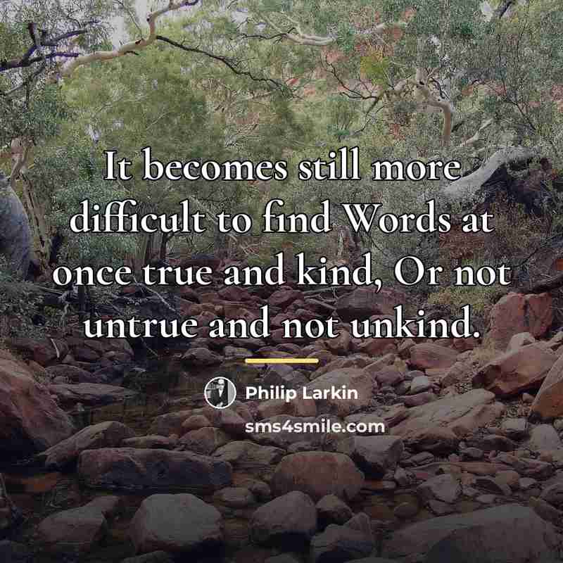 “It becomes still more difficult to find Words at once…” quote by Philip Larkin