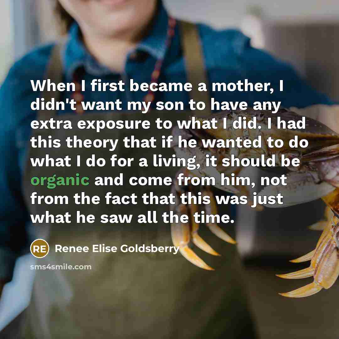 “When I first became a mother, I didn't want my…” quote by Renee Elise Goldsberry