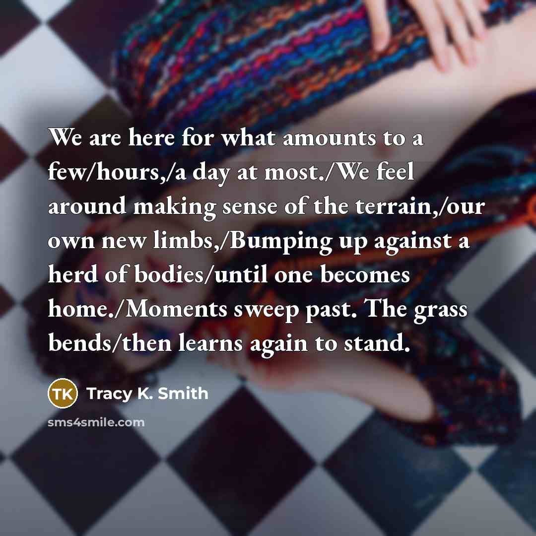 “We are here for what amounts to a few/hours,/a day…” quote by Tracy K. Smith