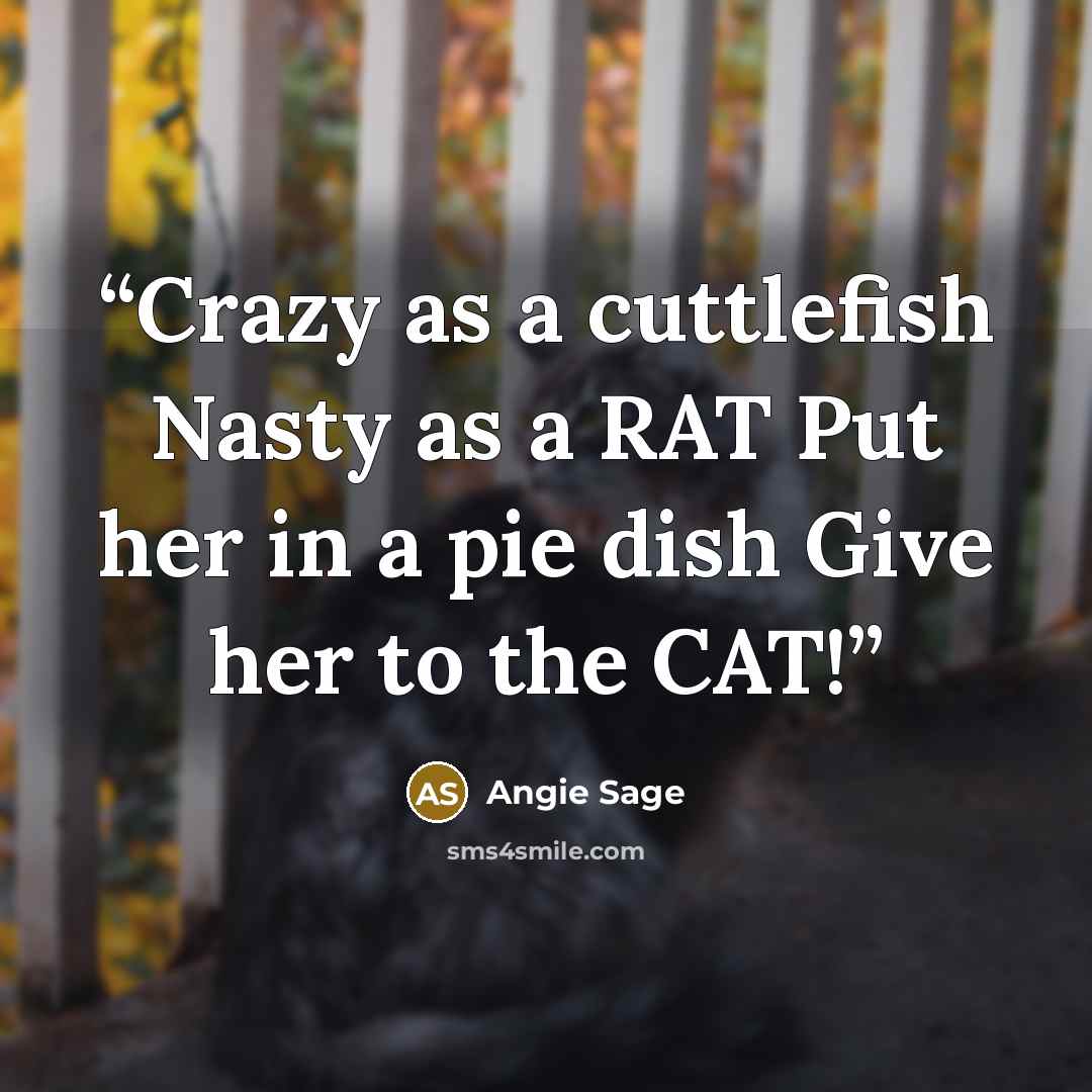 “Crazy as a cuttlefish Nasty as a RAT Put her in a pie dish Give her to the CAT!” quote by Angie Sage