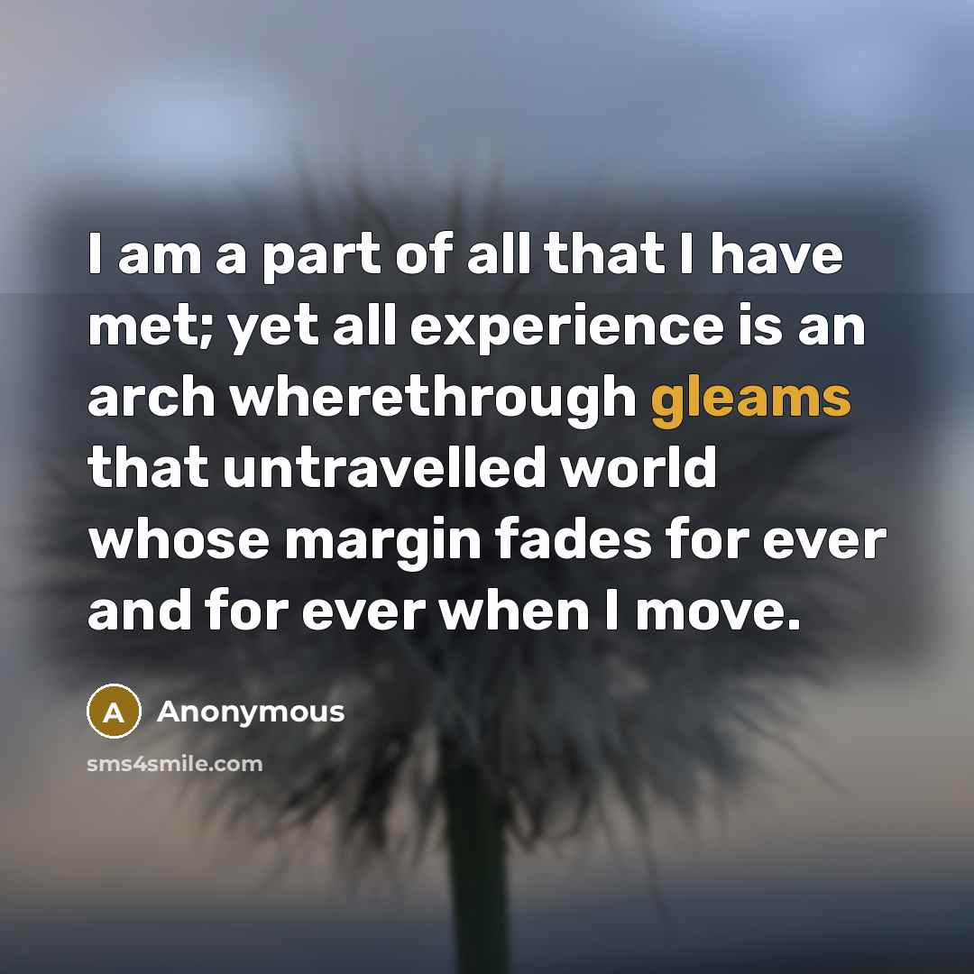 “I am a part of all that I have met;…” quote by Anonymous