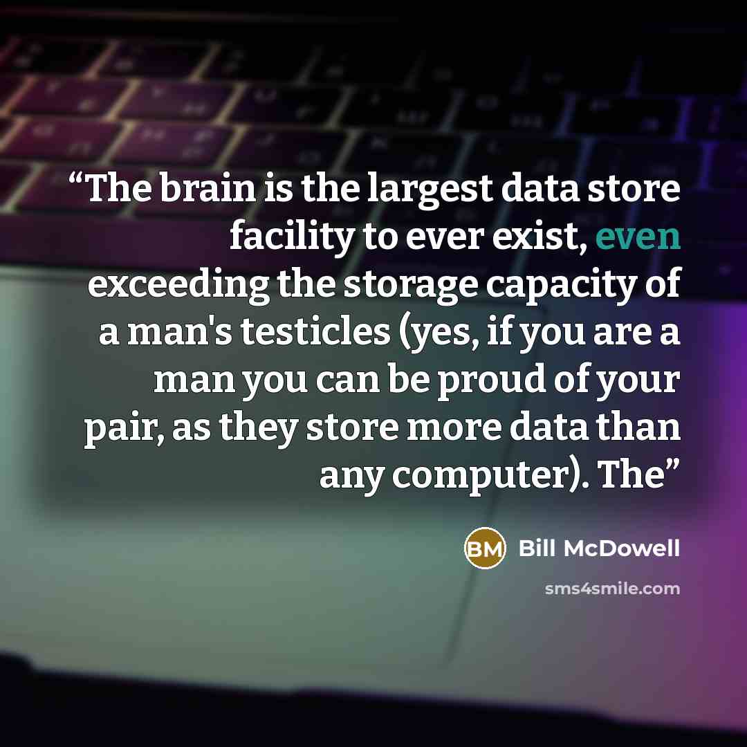 “The brain is the largest data store facility to ever exist, even exceeding the storage capacity of a man's testicles (yes, if you are a man you can be proud of your pair, as they store more data than any computer). The” quote by Bill McDowell