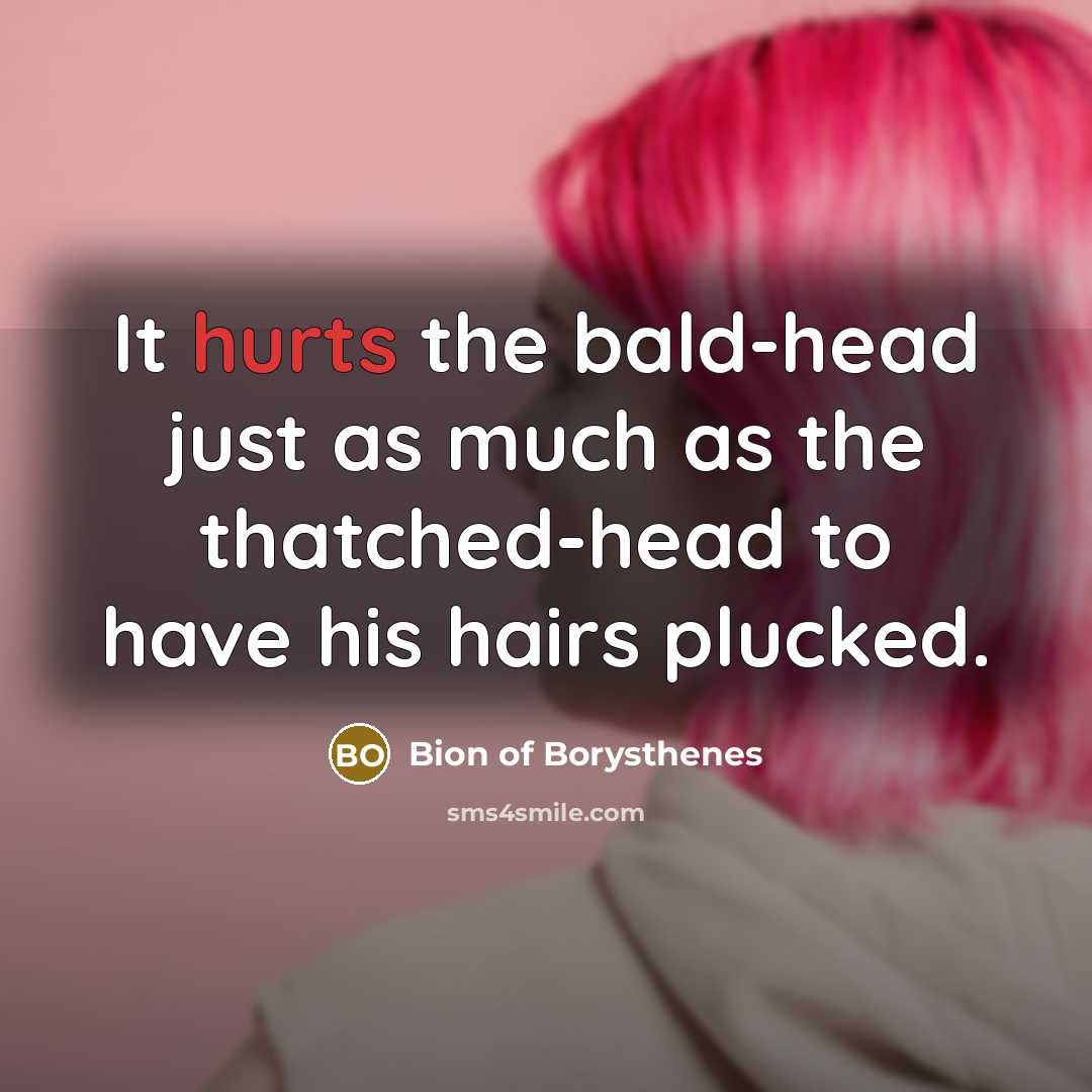 “It hurts the bald-head just as much as the thatched-head to have his hairs plucked.” quote by Bion of Borysthenes