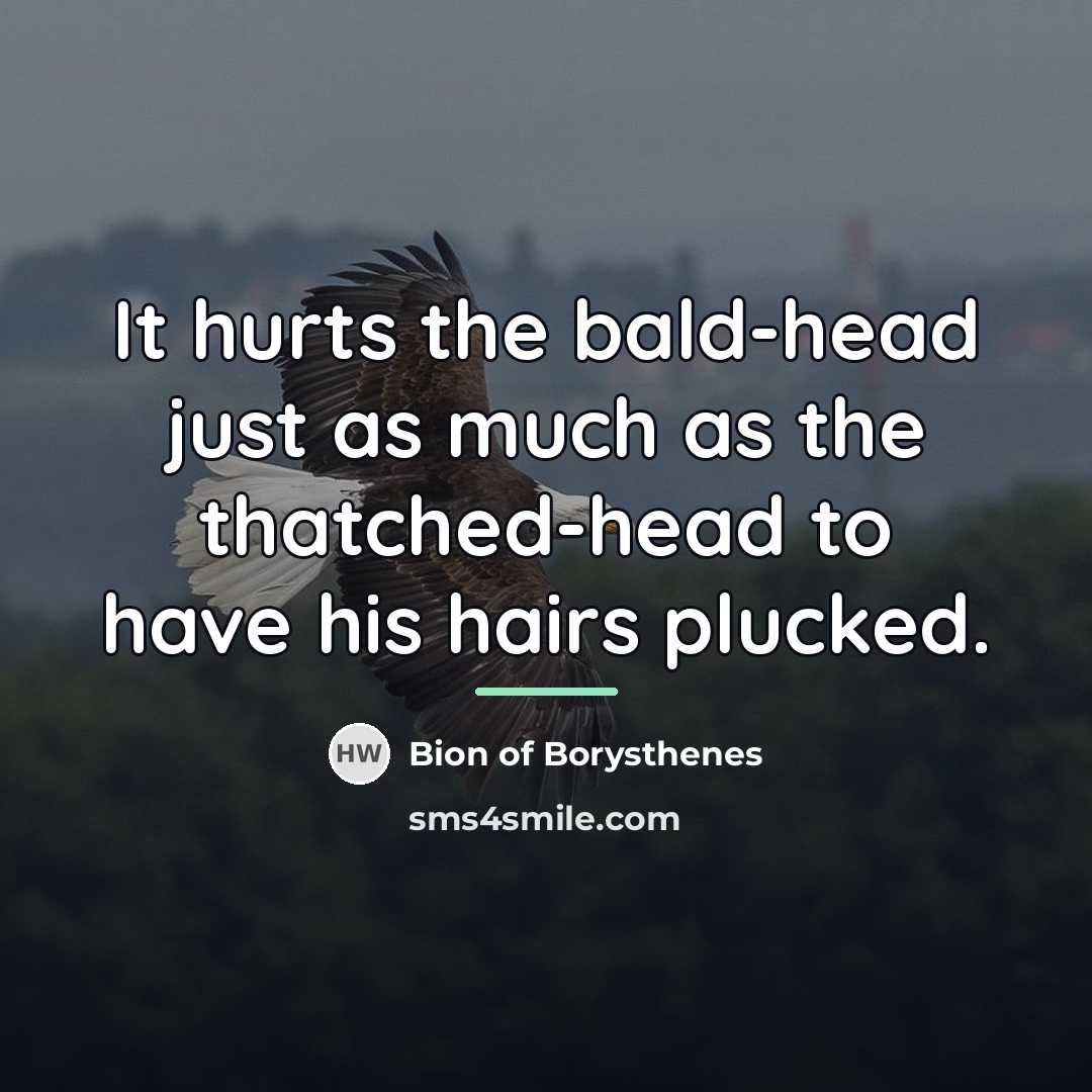 “It hurts the bald-head just as much as the thatched-head…” quote by Bion of Borysthenes