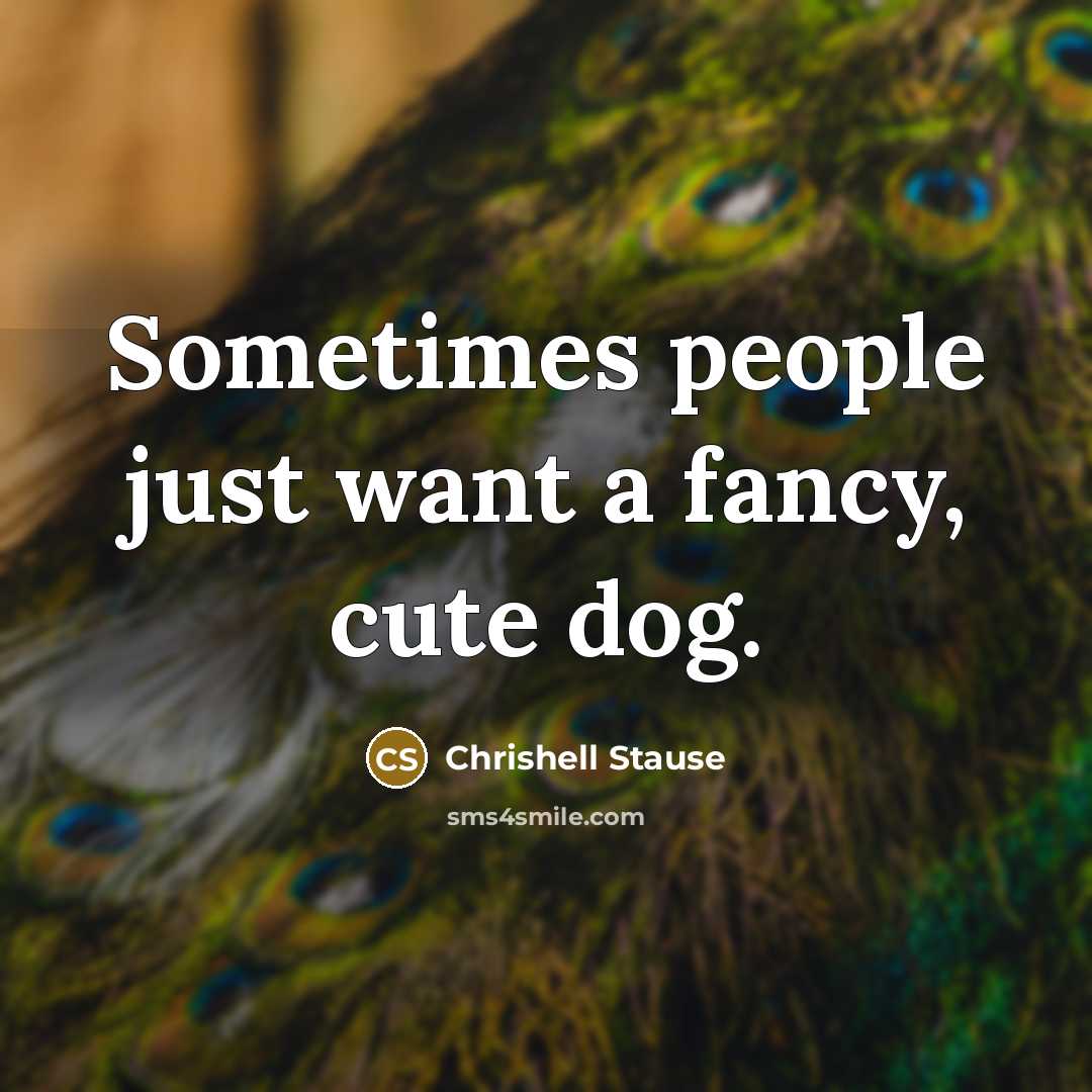 “Sometimes people just want a fancy, cute dog.” quote by Chrishell Stause