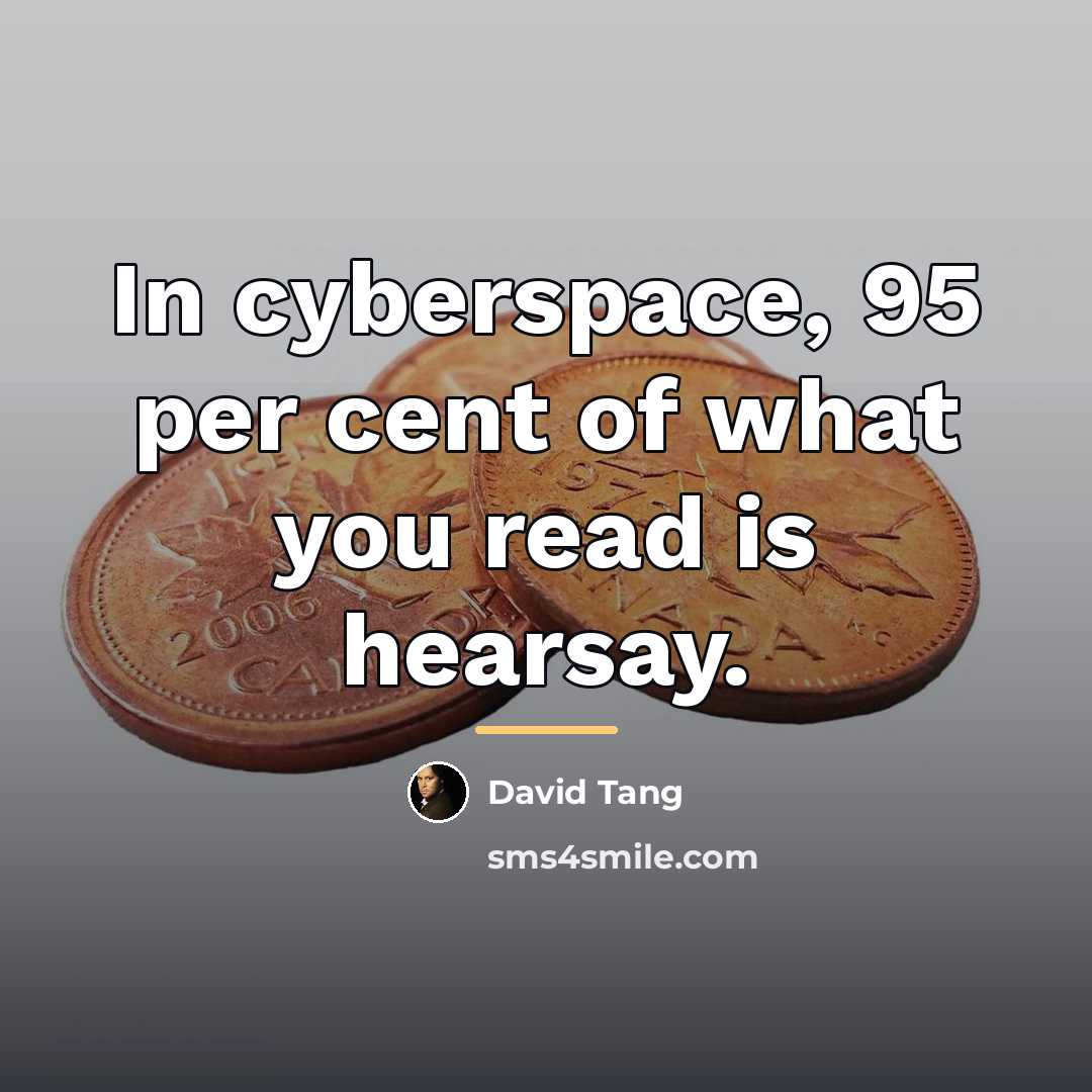 “In cyberspace, 95 per cent of what you read is…” quote by David Tang