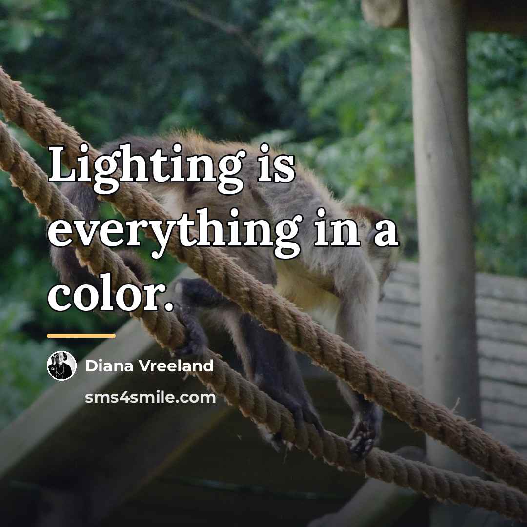 “Lighting is everything in a color.…” quote by Diana Vreeland