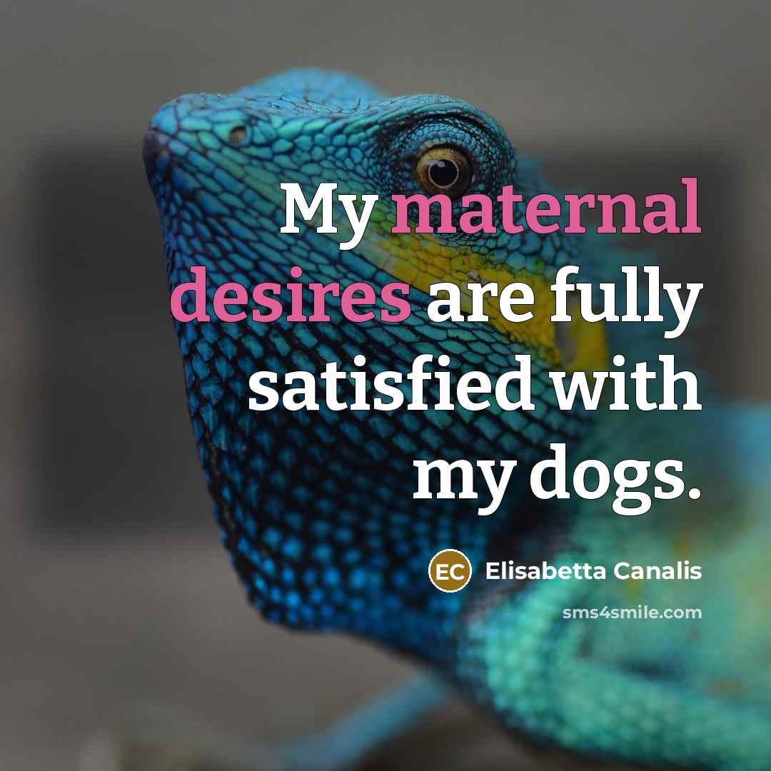 “My maternal desires are fully satisfied with my dogs.” quote by Elisabetta Canalis