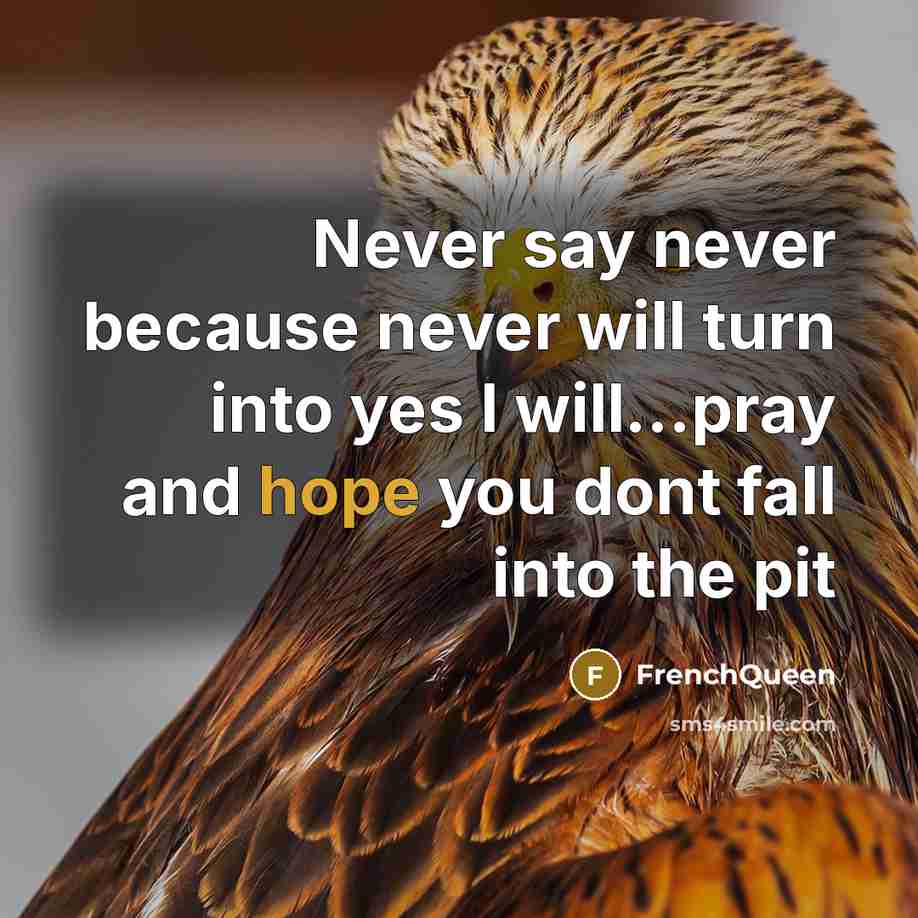 “Never say never because never will turn into yes I will...pray and hope you dont fall into the pit” quote by Frenchqueen