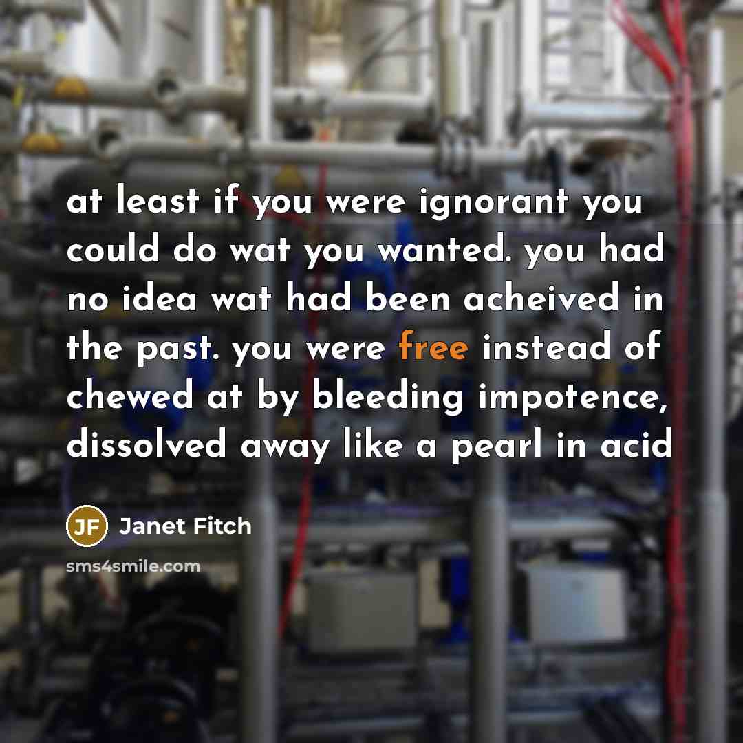 “at least if you were ignorant you could do wat…” quote by Janet Fitch