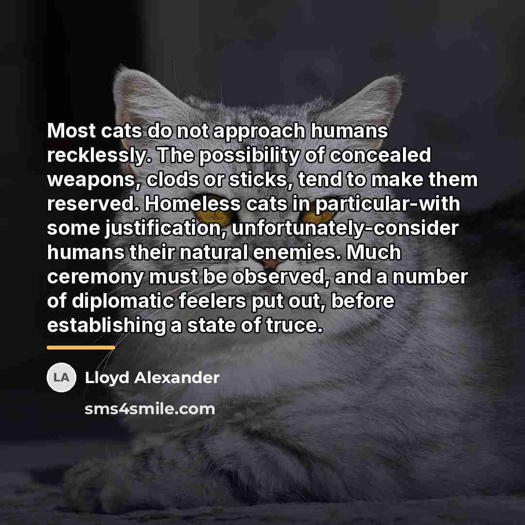 “Most cats do not approach humans recklessly. The possibility of…” quote by Lloyd Alexander