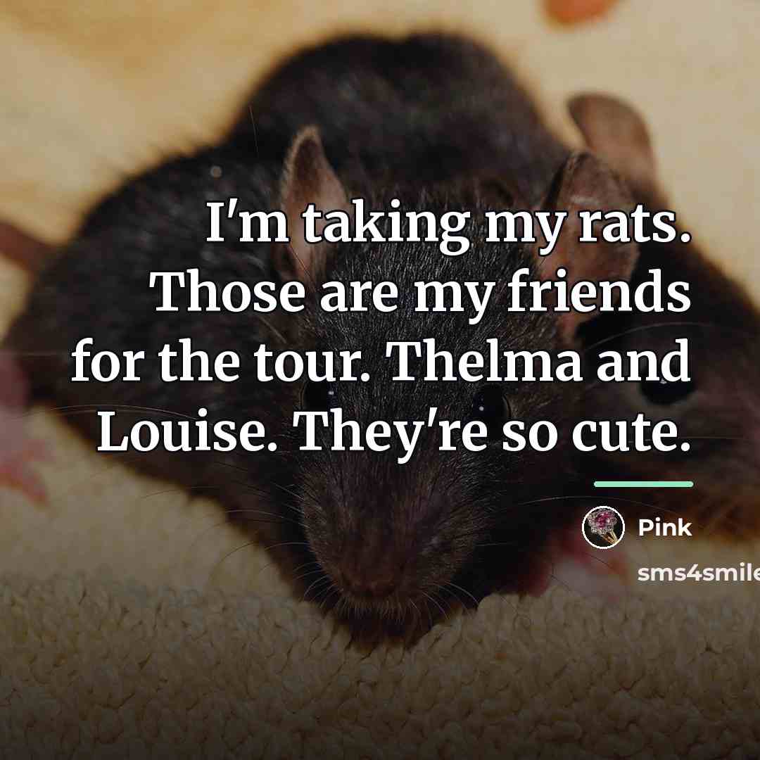 “I'm taking my rats. Those are my friends for the…” quote by Pink