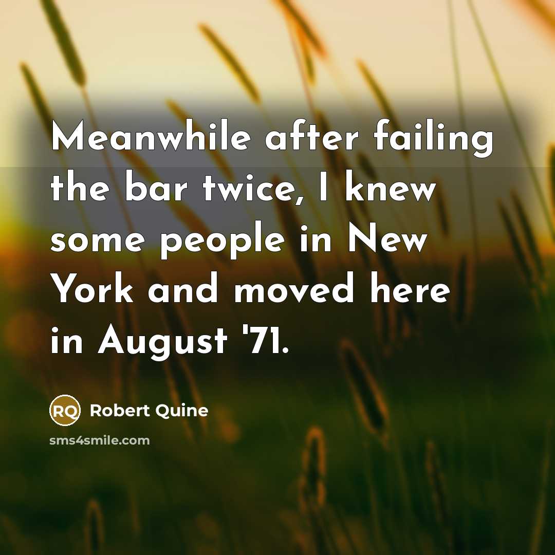 “Meanwhile after failing the bar twice, I knew some people…” quote by Robert Quine