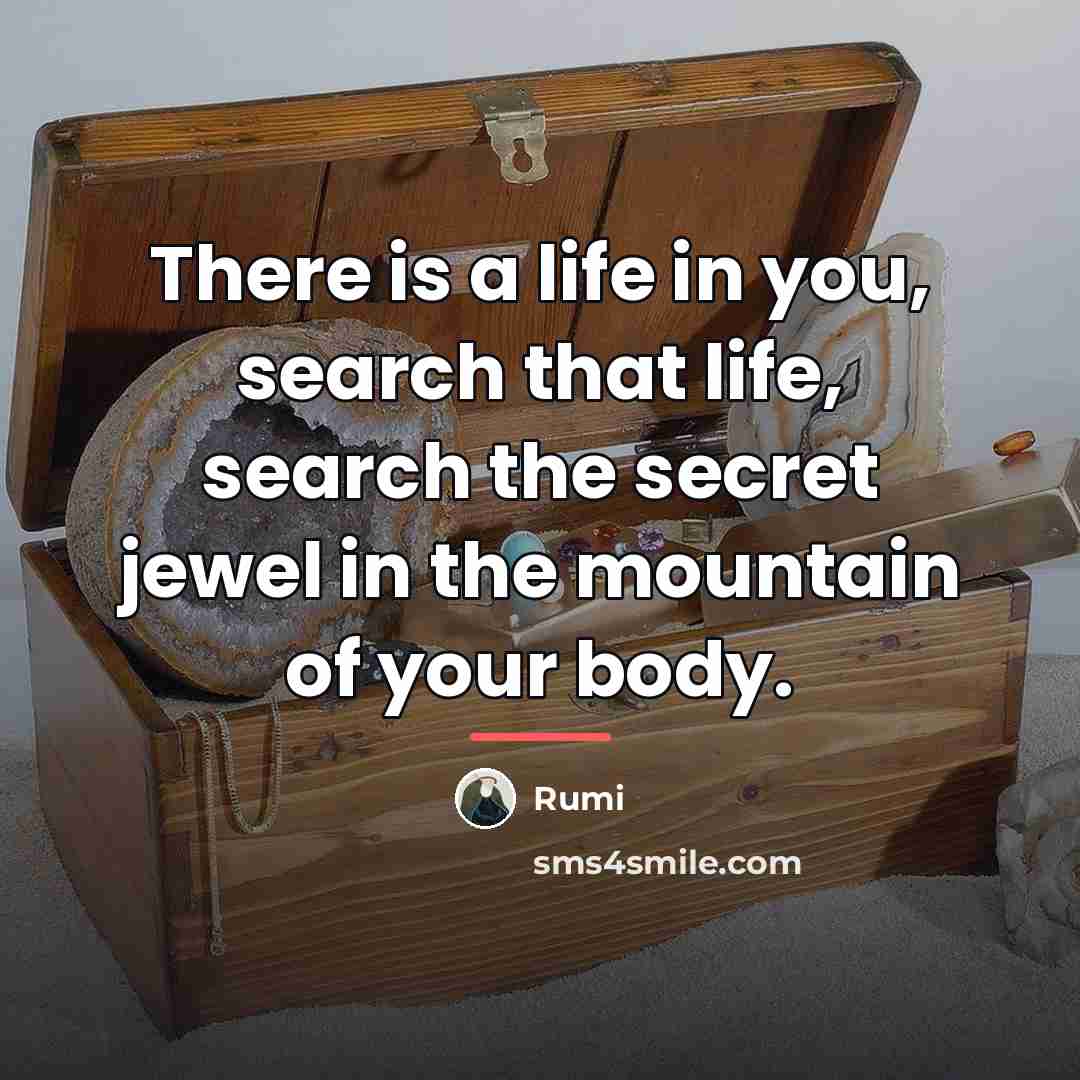 “There is a life in you, search that life, search…” quote by Rumi