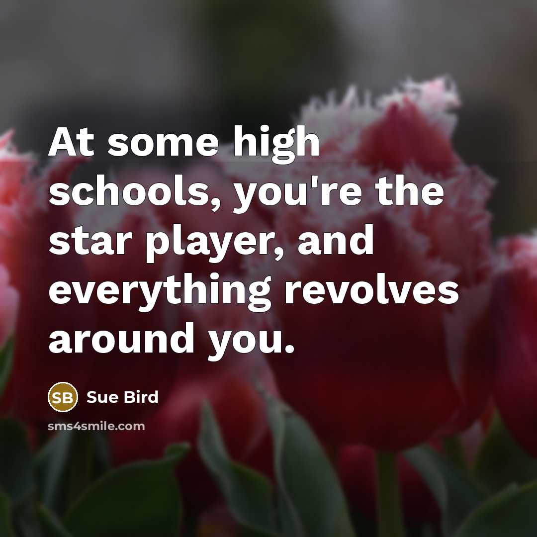 “At some high schools, you're the star player, and everything…” quote by Sue Bird