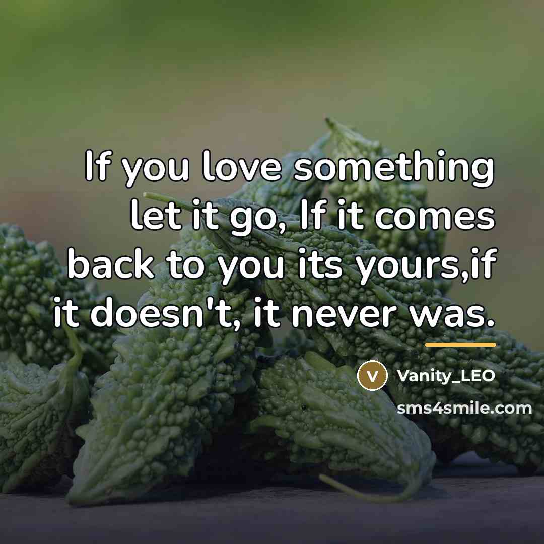 “If you love something let it go, If it comes…” quote by Vanity_LEO