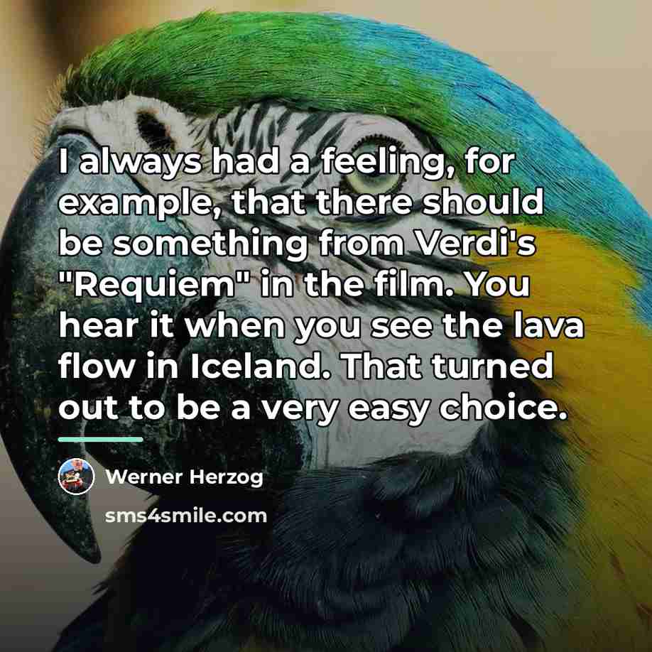 “I always had a feeling, for example, that there should…” quote by Werner Herzog