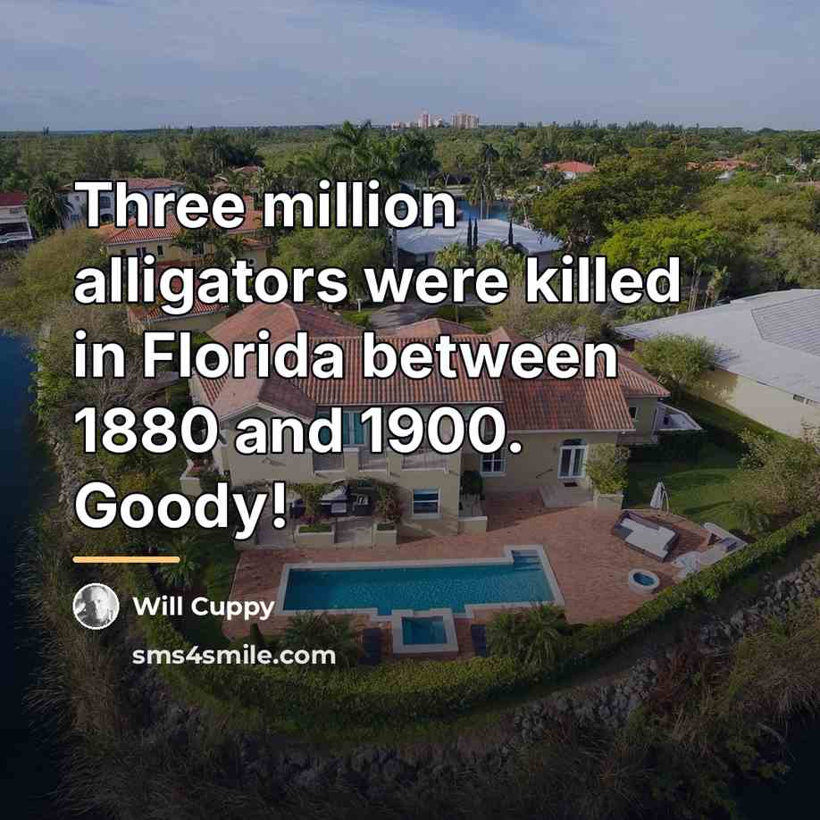 “Three million alligators were killed in Florida between 1880 and…” quote by Will Cuppy